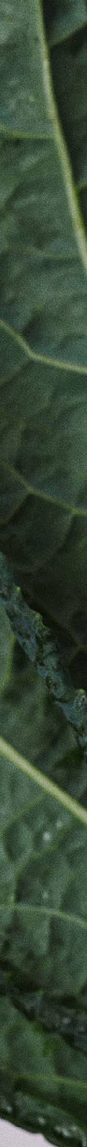 The Fresh Start Cleanse