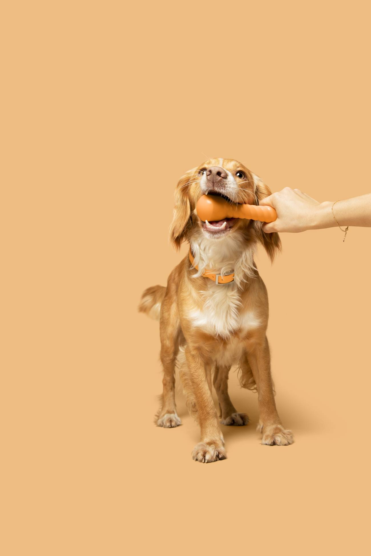 Barking Heads Wet Dog Food Barking Heads & Meowing Heads