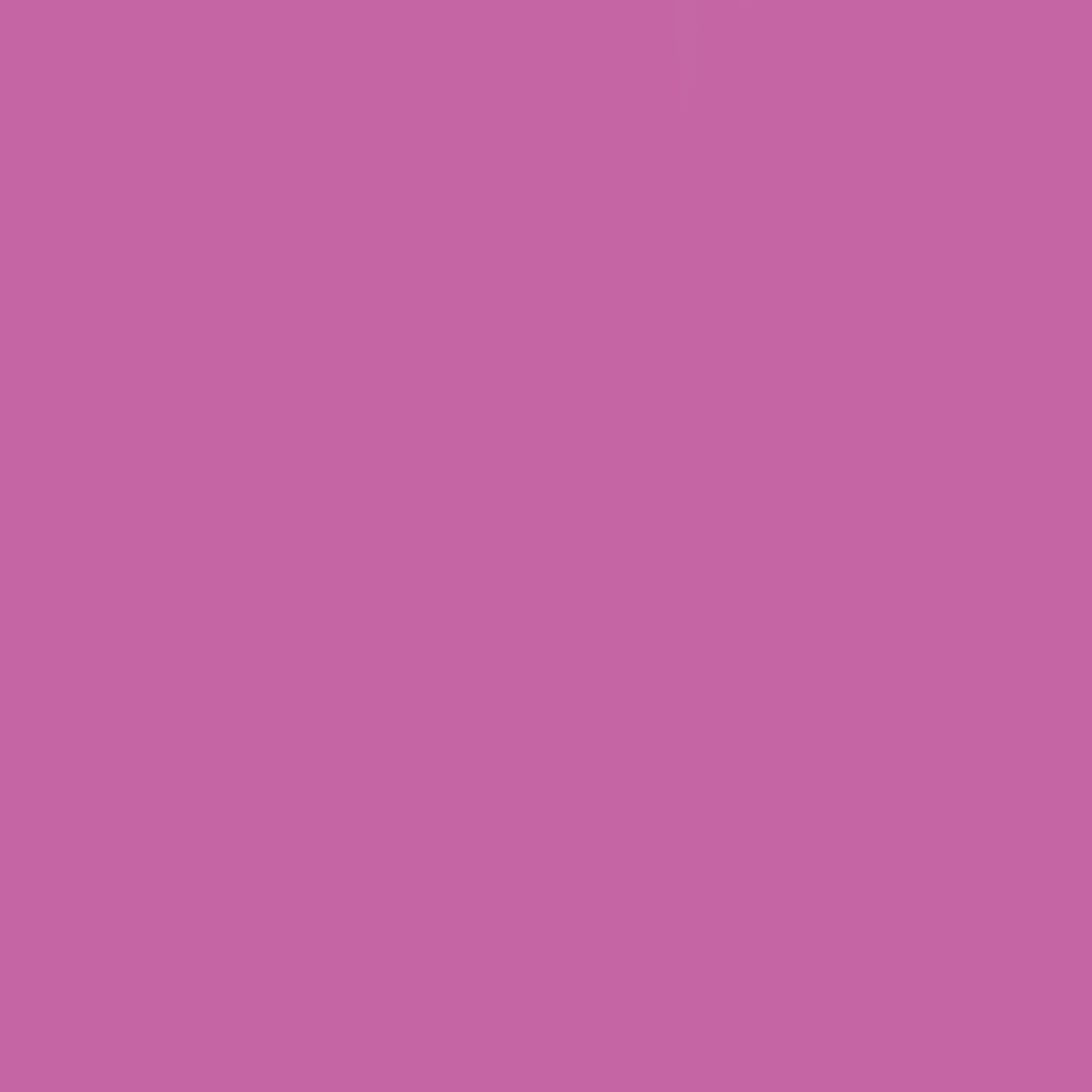 Freelance Snack Color Swatch