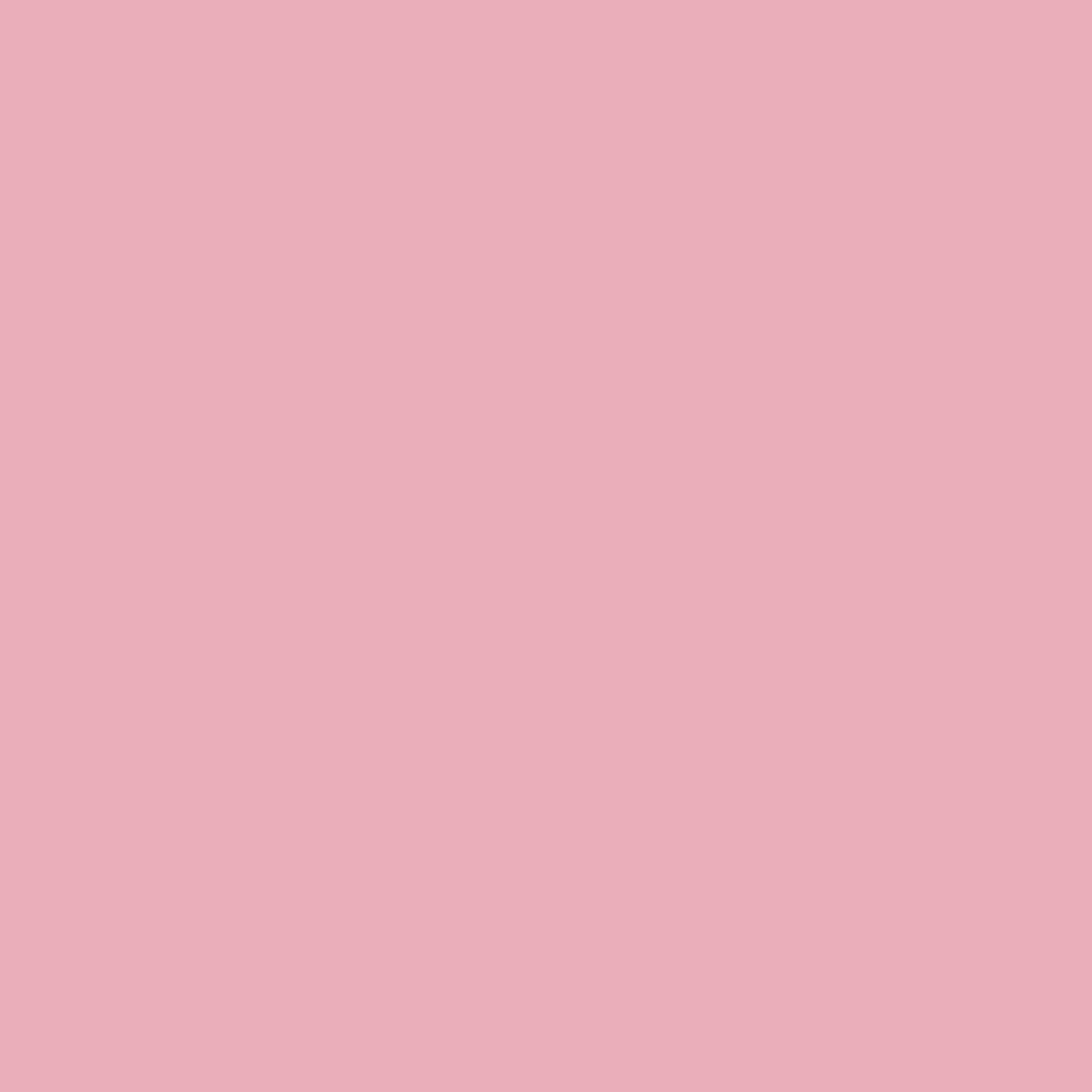 Giggle Palace Color Swatch