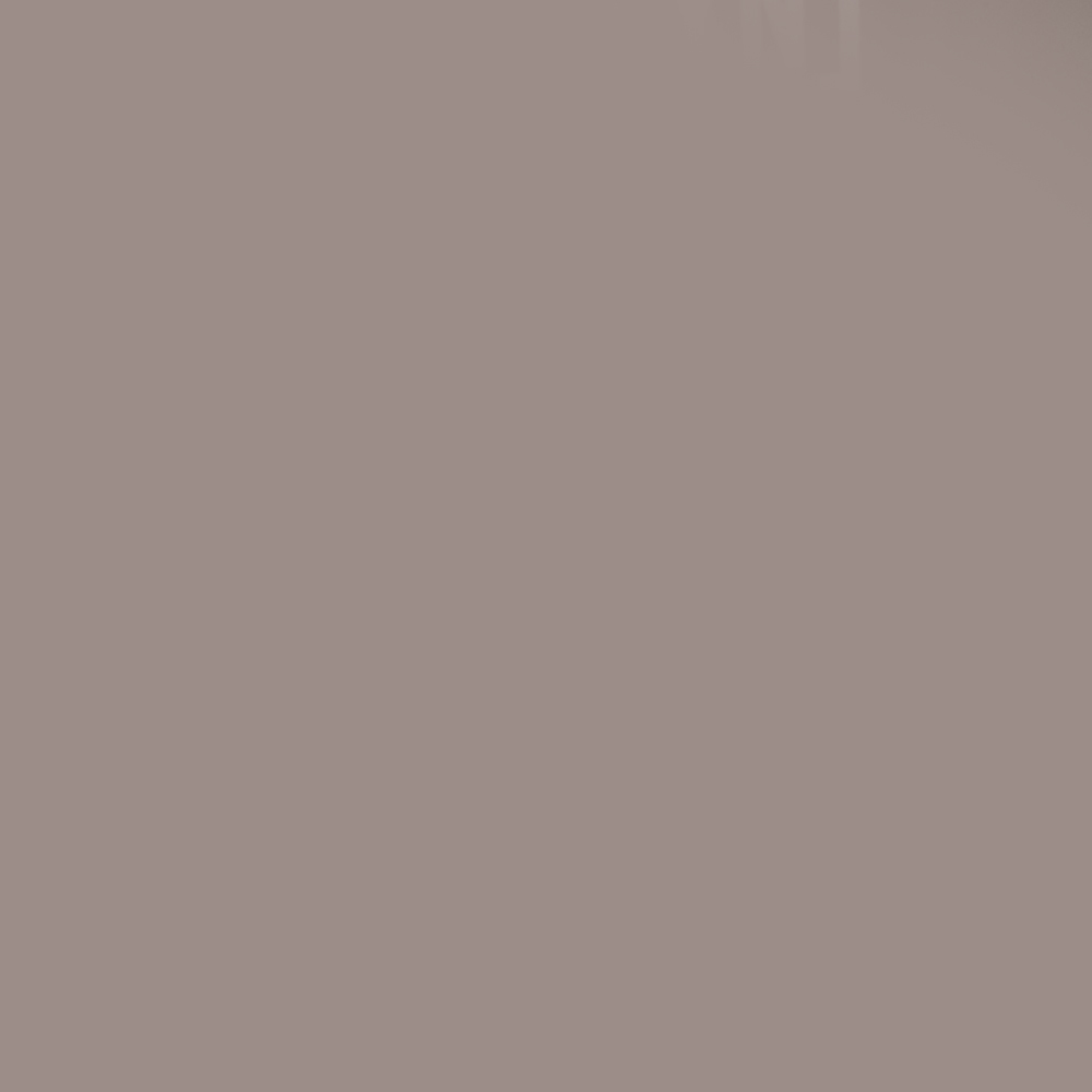 Therapy Raccoon Color Swatch