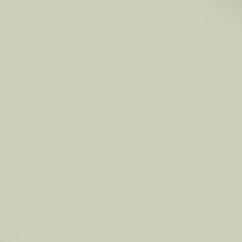 No Lemon No Melon Color Swatch