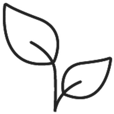 Vegan ingredients