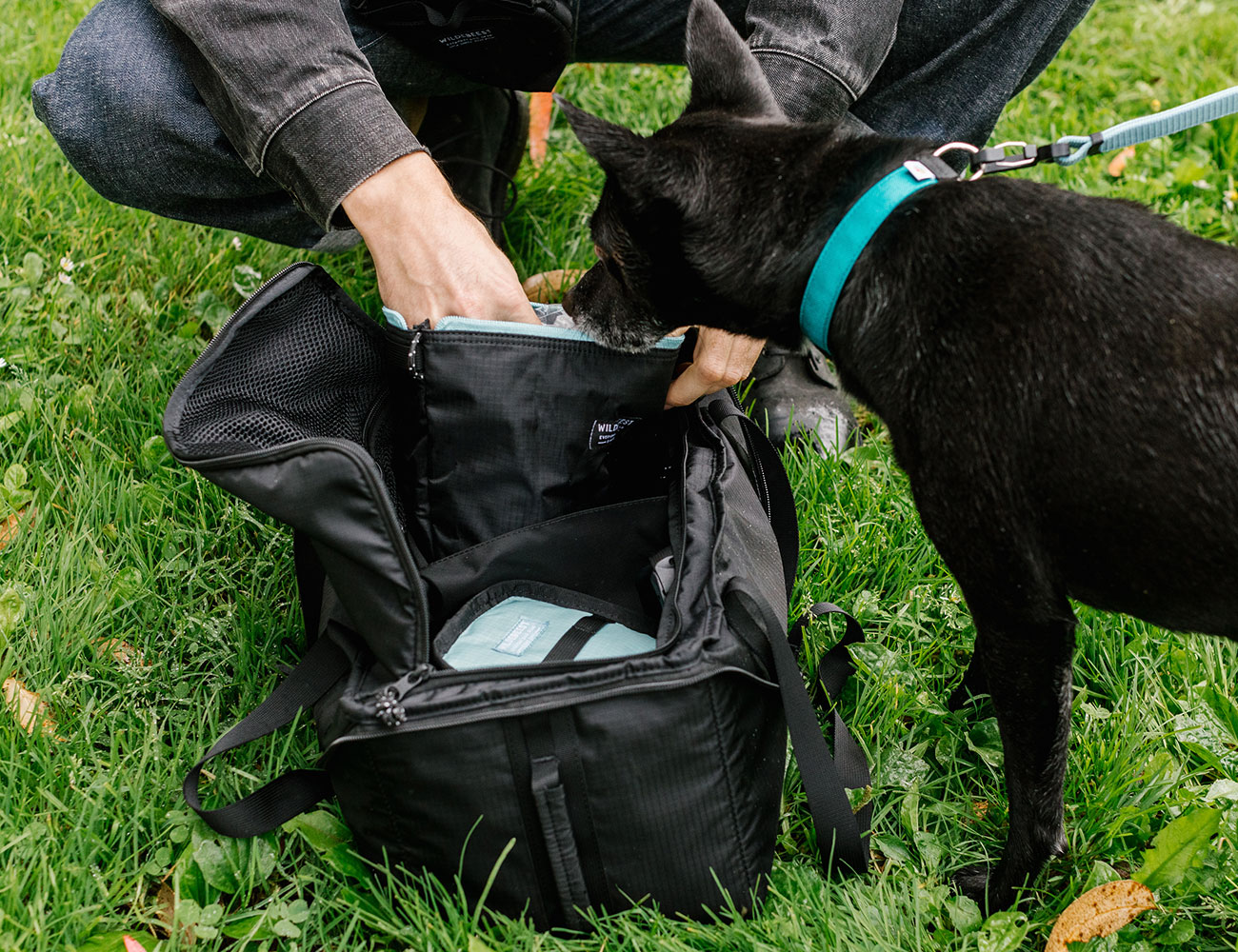 Dog store go bag