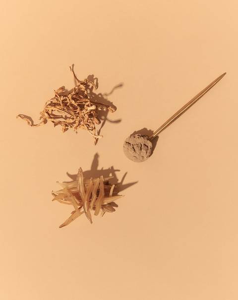 Passion & Desire Bundle