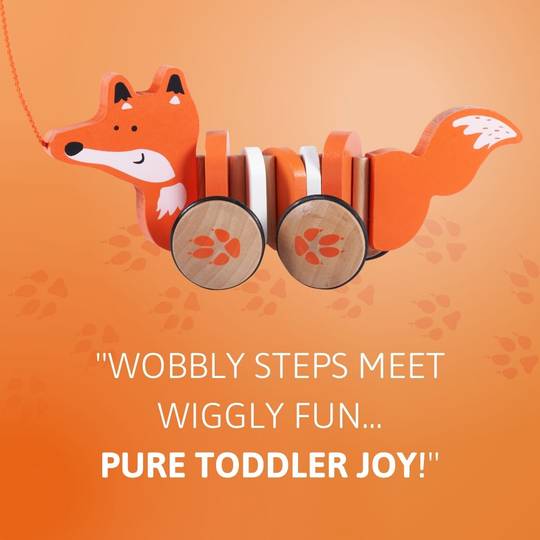 Felix The Fox Pull Along Toy
