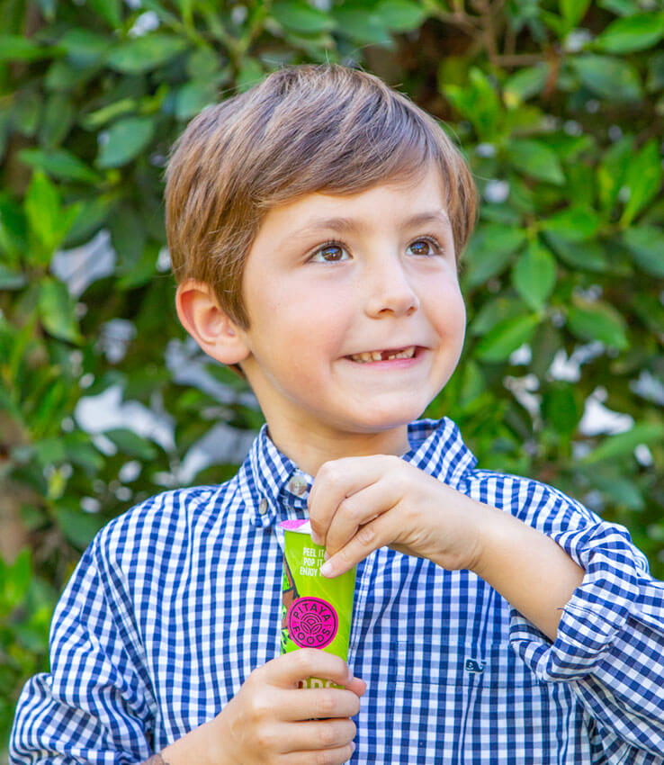 Organic Kiwi Pineapple Smoothie Pops