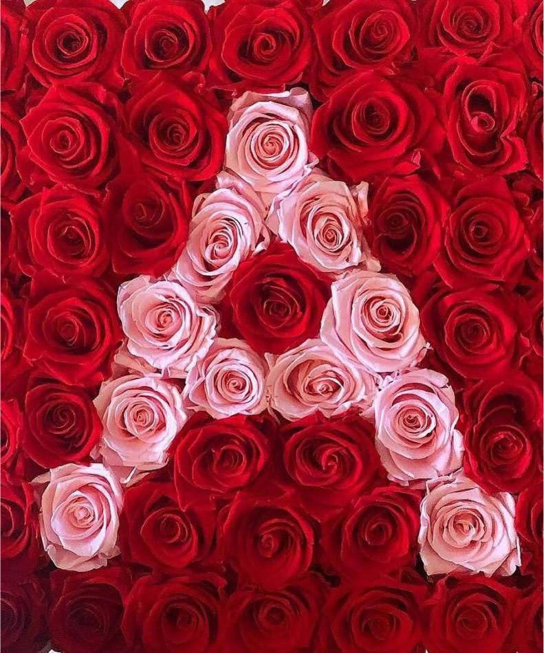 red roses and surrounding pink roses in the shape of the letter