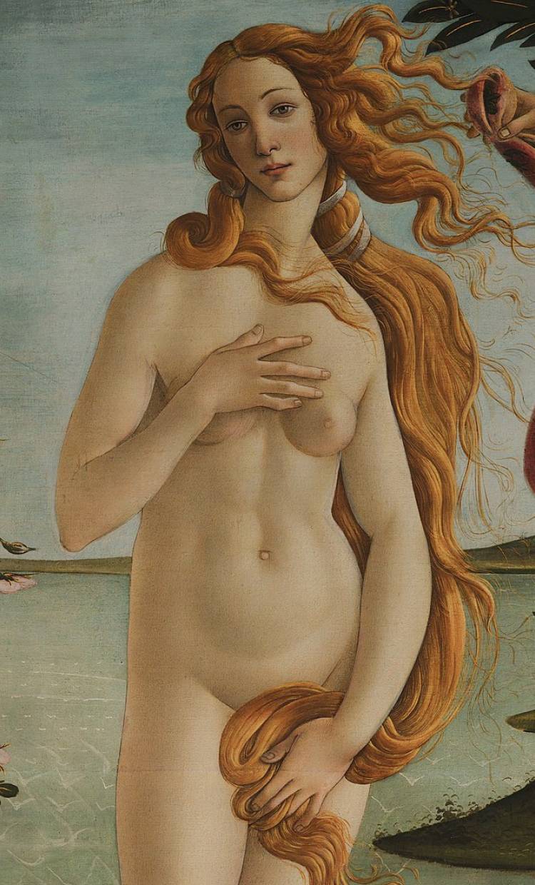 Birth of Venus painting 