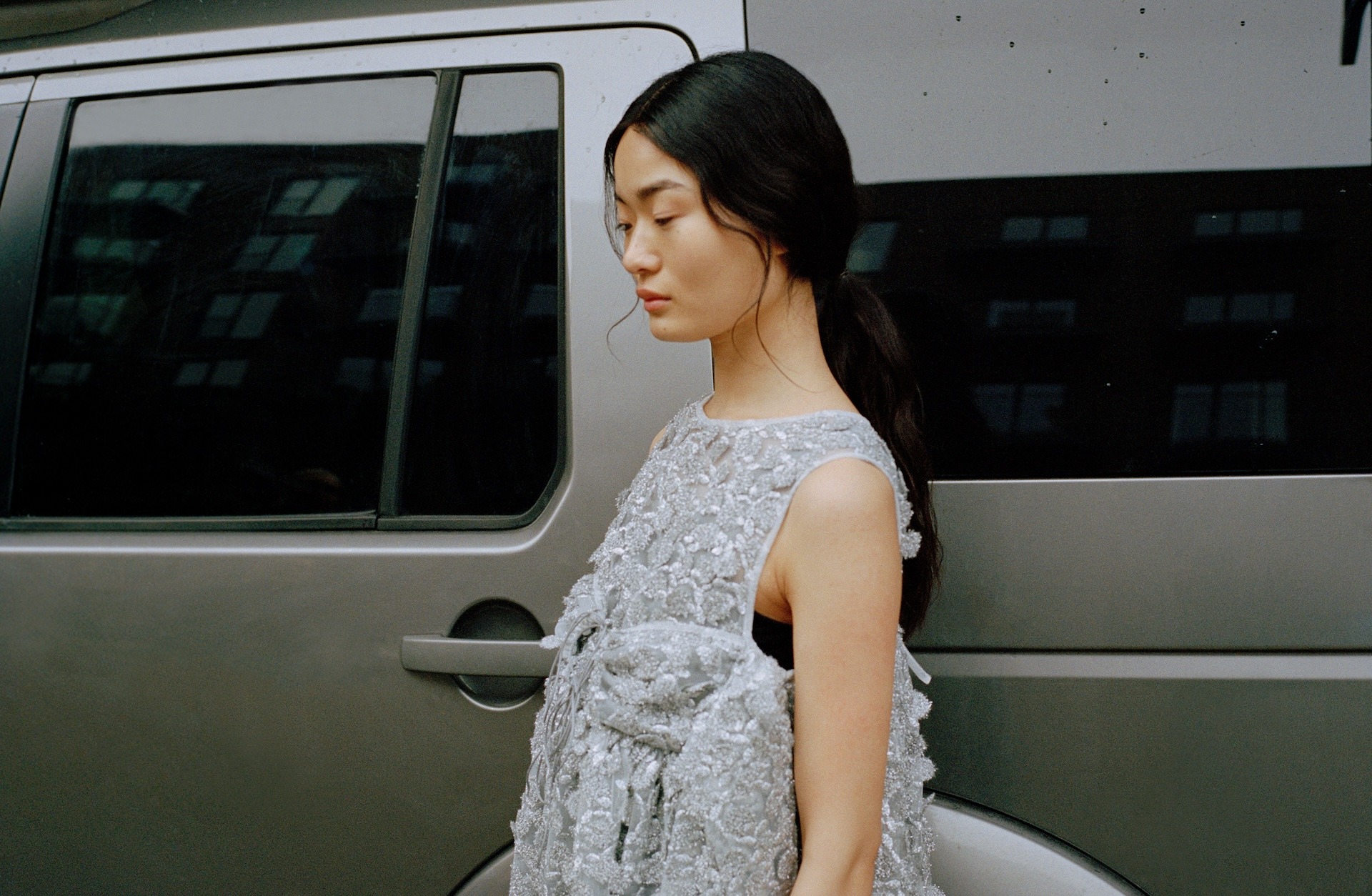 FILIPPA | DRESS CASSIOPÉ TULLE APPLIQUE SILVER