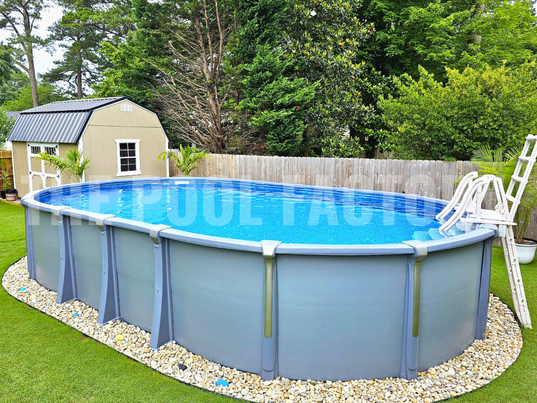 Oval above ground saltwater pool with safety ladder