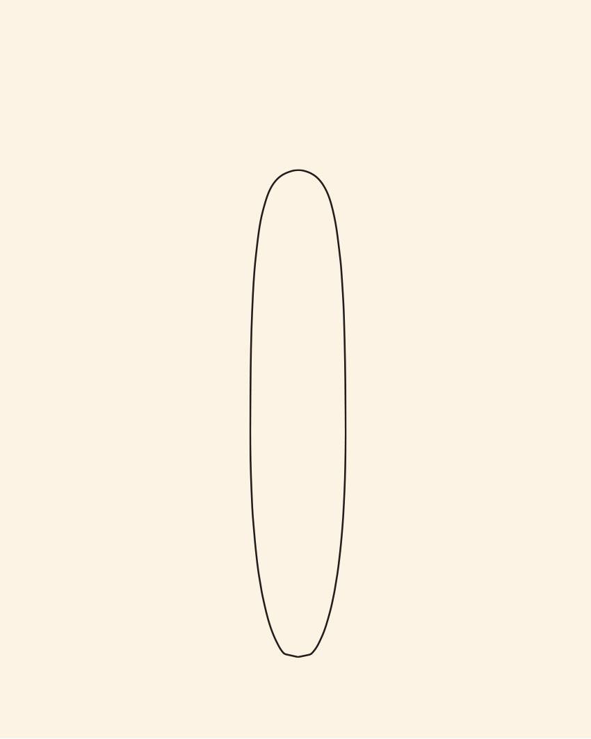 10'0" Noserider
