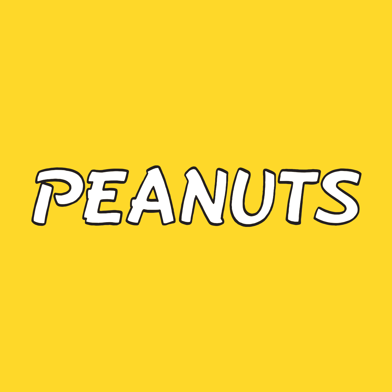 Peanuts Collection | Super7