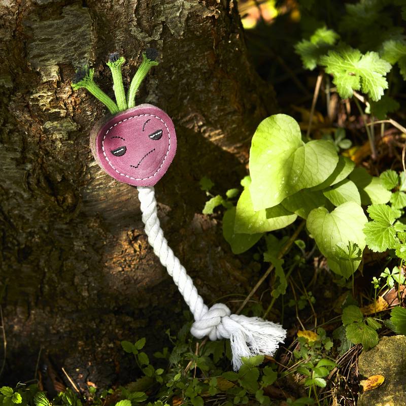 Ruby Rohd Toy Ruby the Radish, Eco Dog Toy – Green and Wilds - Trade