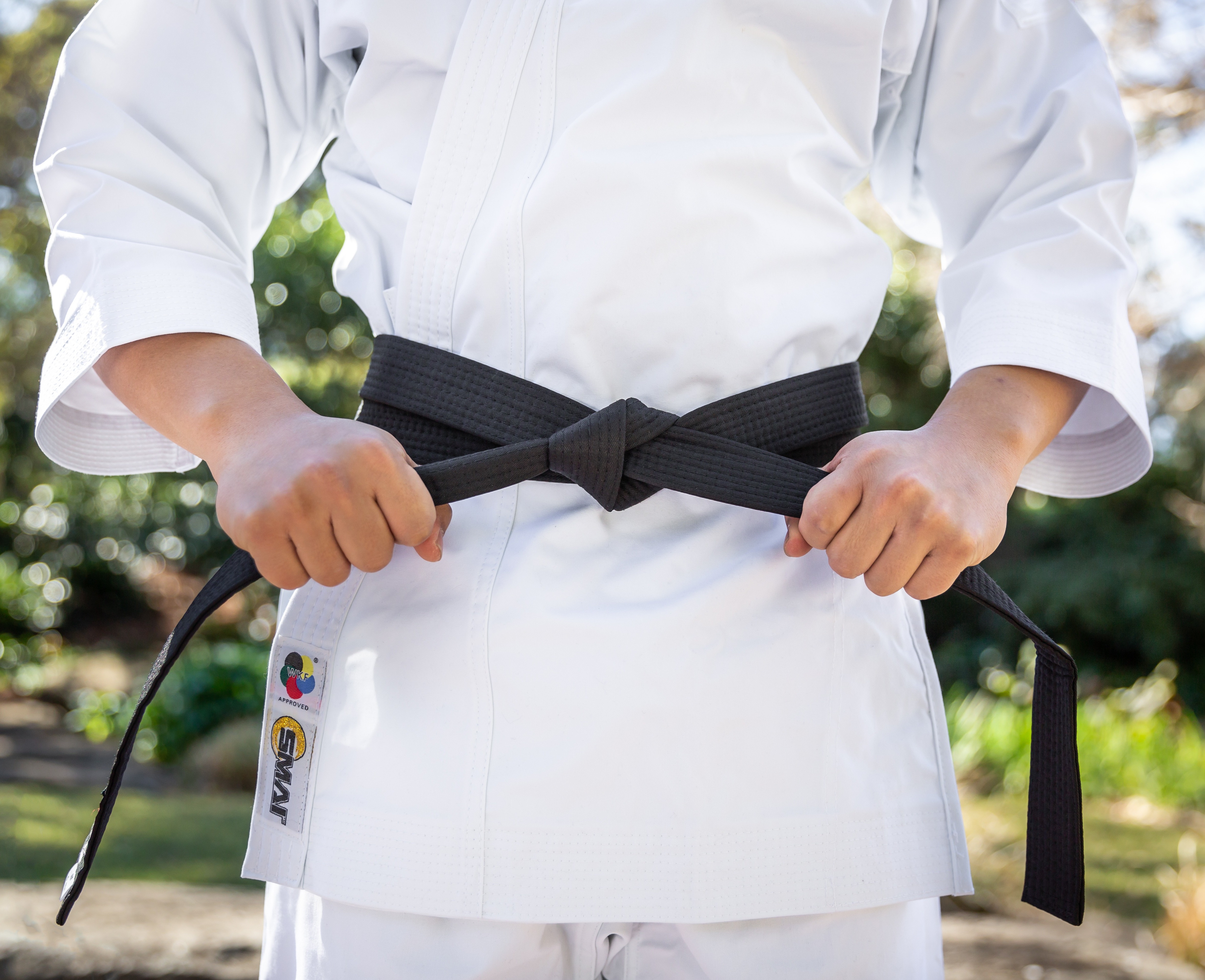 Lowest belt in karate best sale