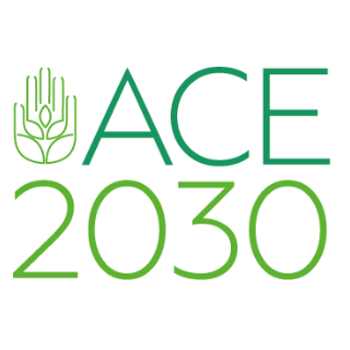 ACE 2030