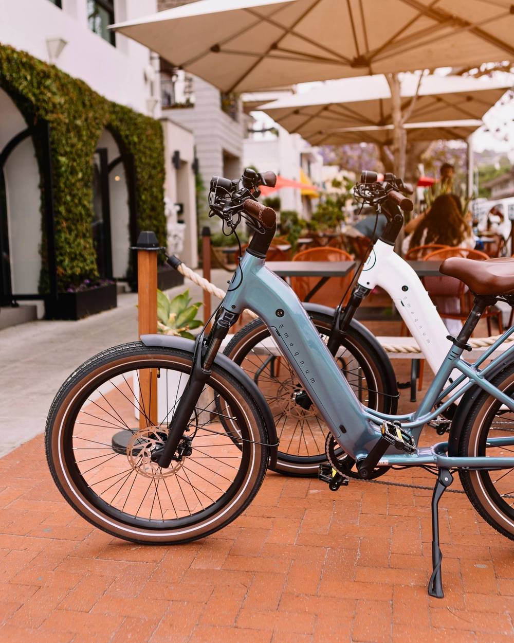 wave electric bicycle Velowave 750W Grace 2.0 20Ah Step-Thru Commuter Bike watt rear hub motor provides smooth pedal E-RIDE - WAVE
