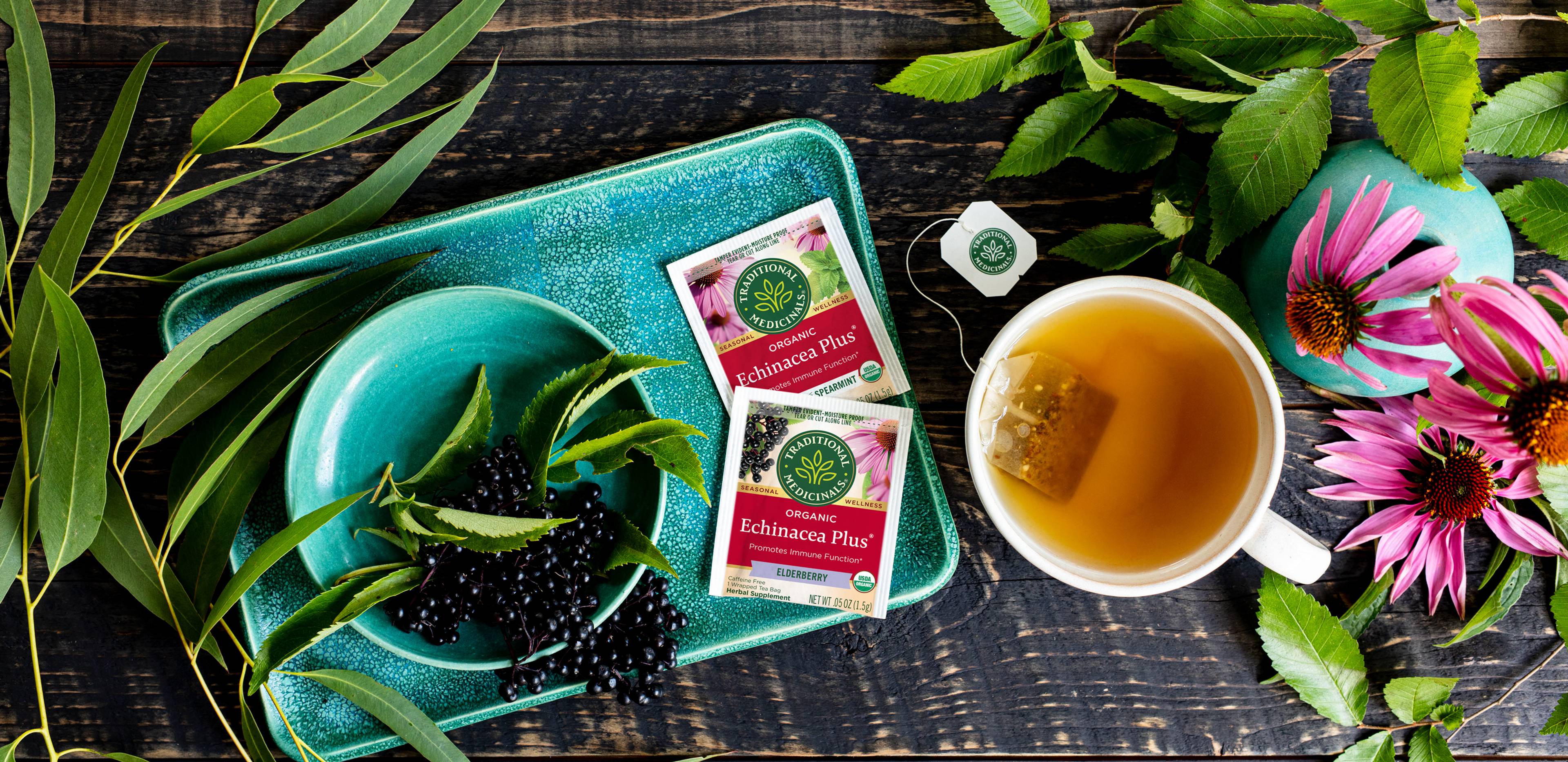 Traditional Medicinals Echinacea Tea Traditional Medicinals