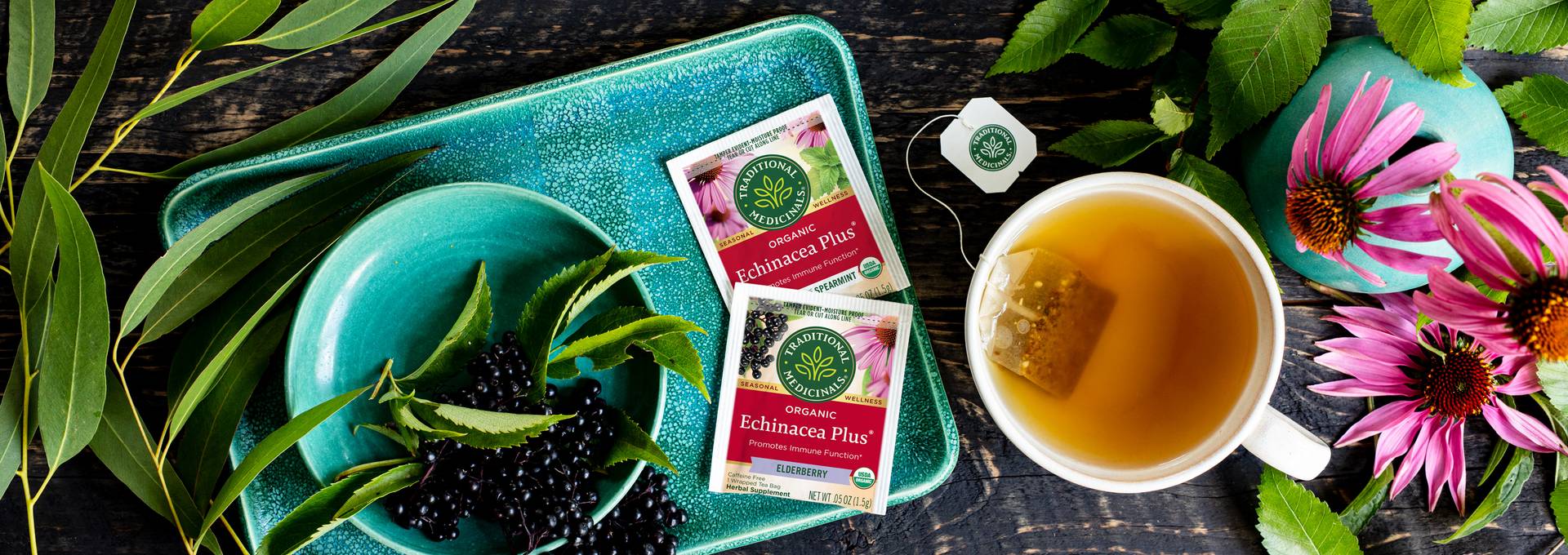 Traditional Medicinals - Echinacea Tea | Traditional Medicinals