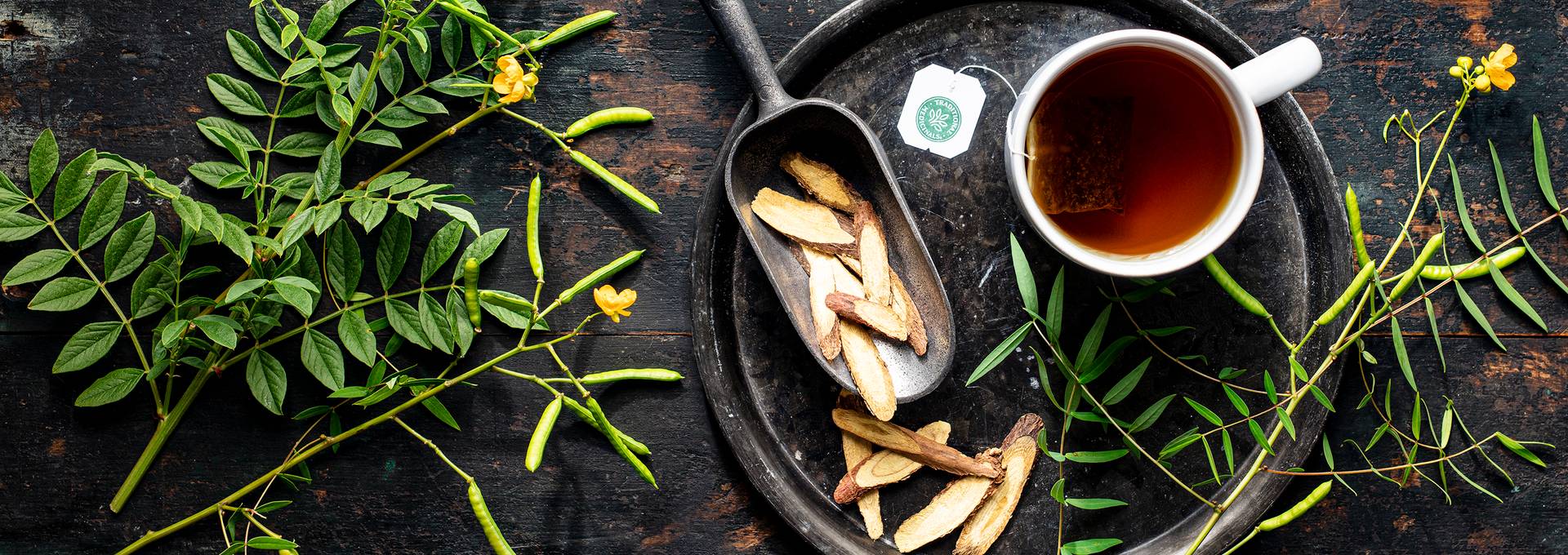Traditional Medicinals - Sena Tea | Traditional Medicinals