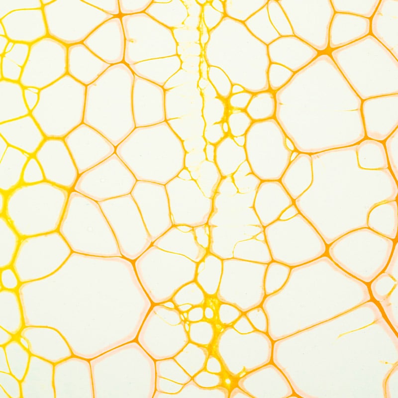 Yellow Cell Structure Painting