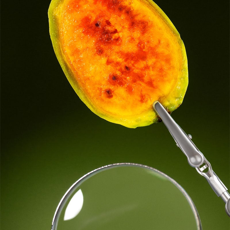 Planet Friendly Ingredient Slice With Scientific Instrument