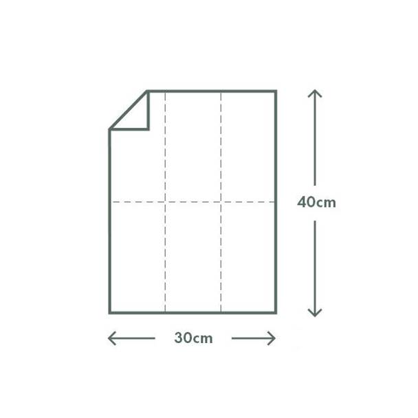 Dinner Napkin | Dollar Saver | 2 Ply Quilted | GT Fold 6 Panels | 30x40cm | White
