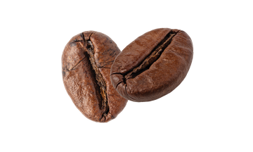 2 roasted coffee beans