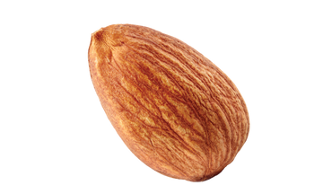 1 whole raw almond