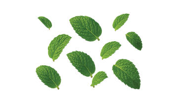 mint leaves