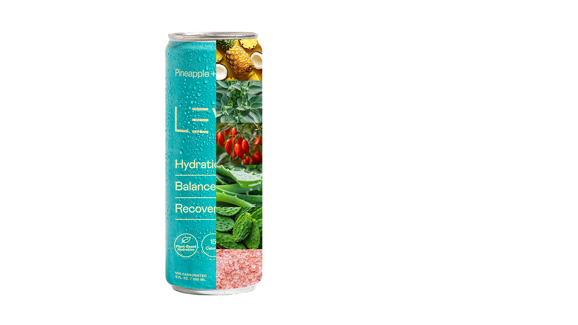 Functional Ingredients You Can Feel
