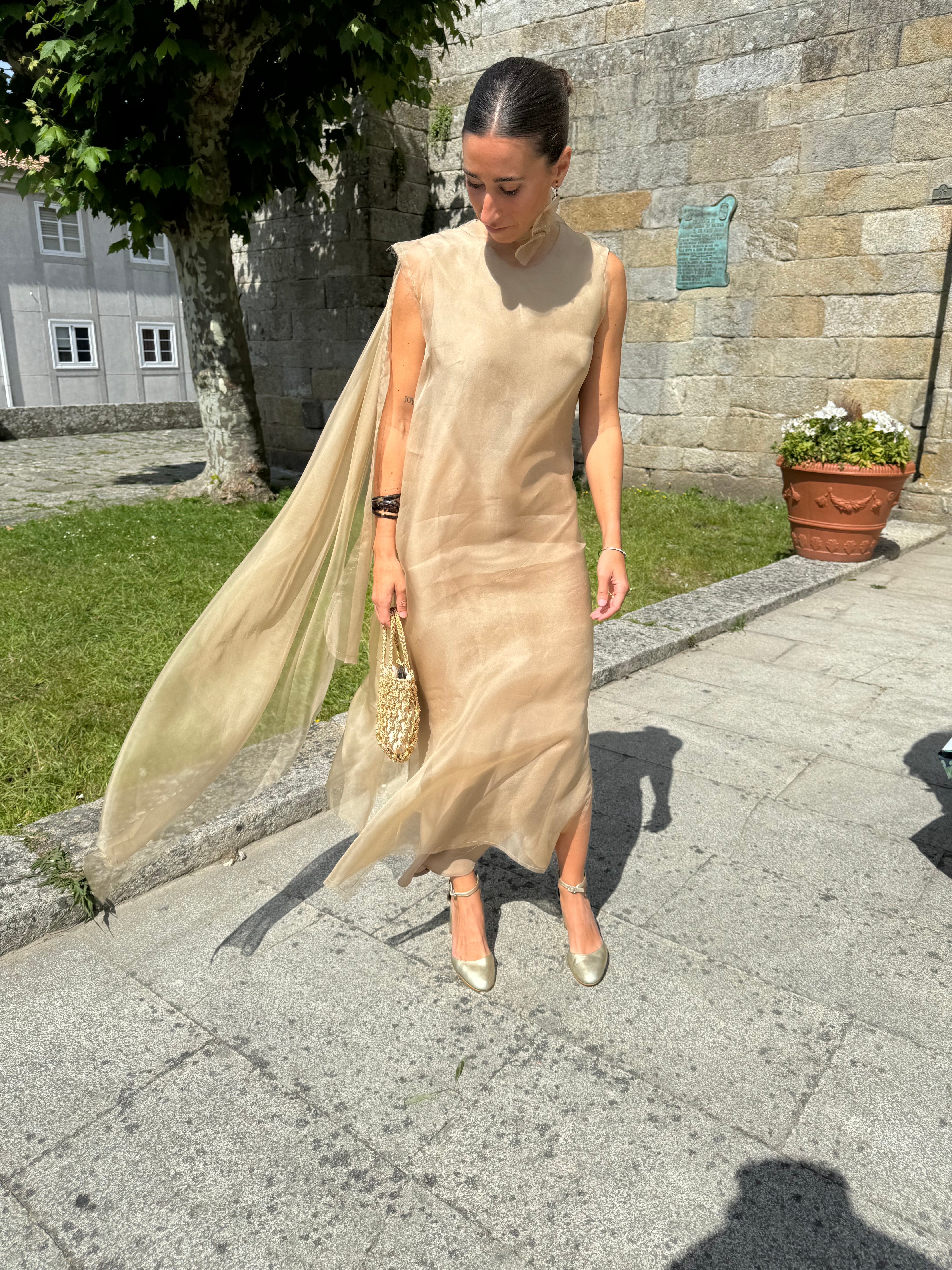 Product Image: Rose Organza Dress