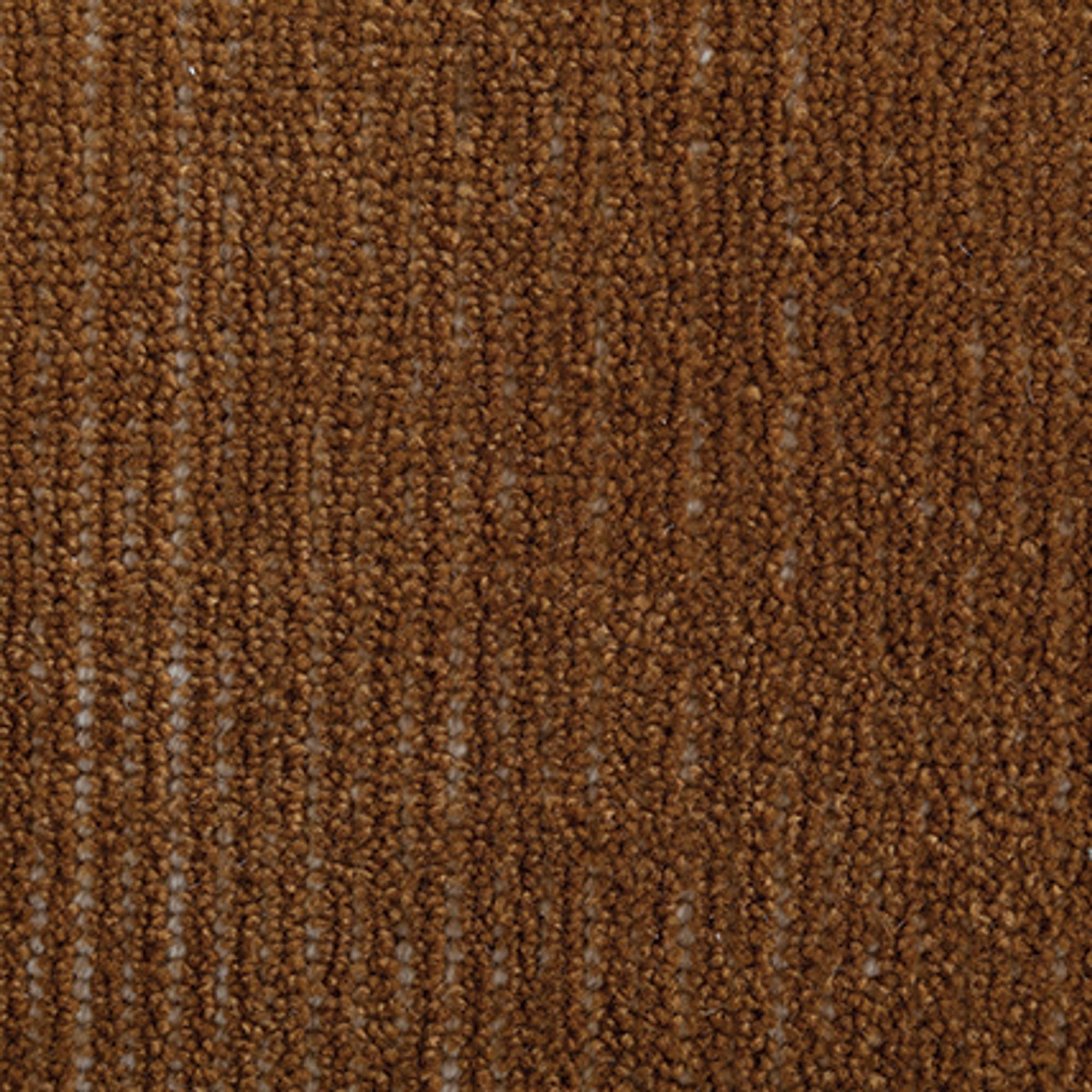 Axon Rug