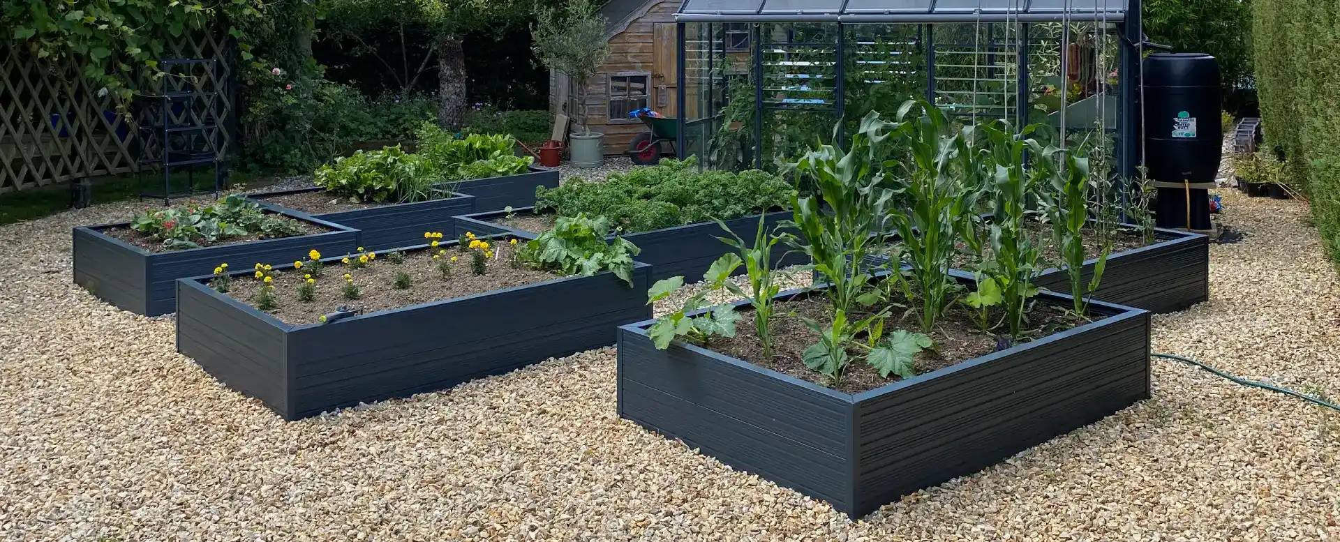 Rhino Raised beds in front of greenhouse