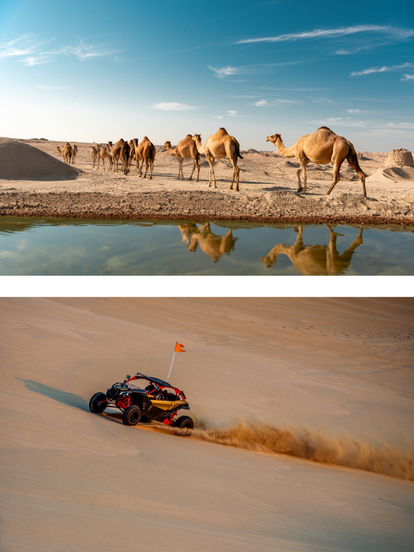 Untitled-design-(27)