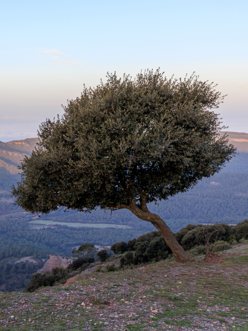 Untitled-design-(30)