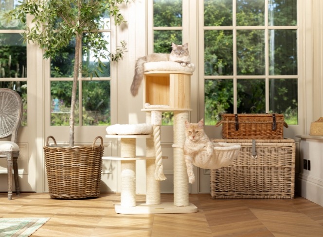 The Best Cat Trees for Felines