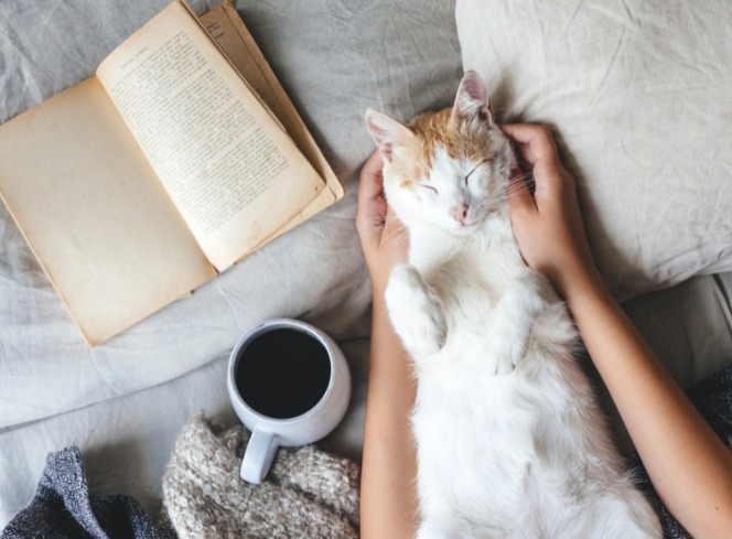 Books Every Cat Lover Should Read