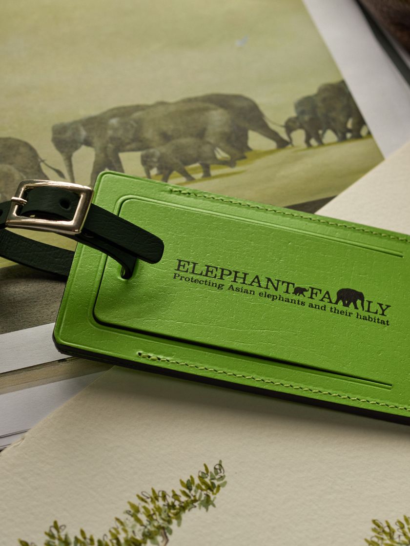 EF_Journal_820x1120-(3)