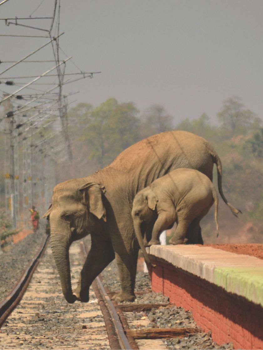 EF_Journal_820x1120-(2)