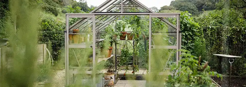 Rhino greenhouse surrounded by greenery 